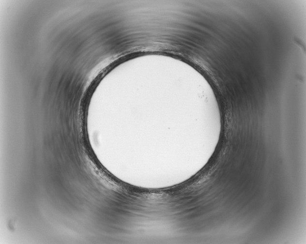 X0000101431122200807280954