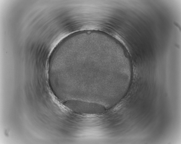 X0000101431124200807280954