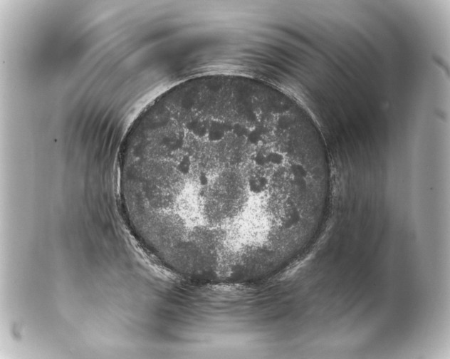 X0000101431125200807280954