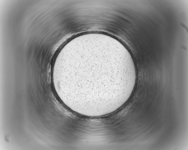 X0000101431126200807280954