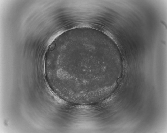 X0000101431127200807280954