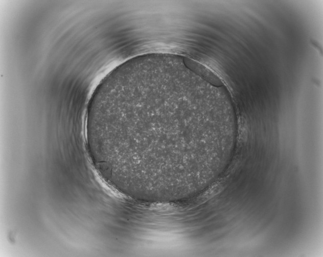 X0000101431128200807280955