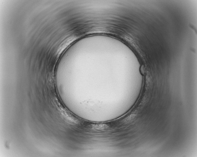 X0000101431129200807280955