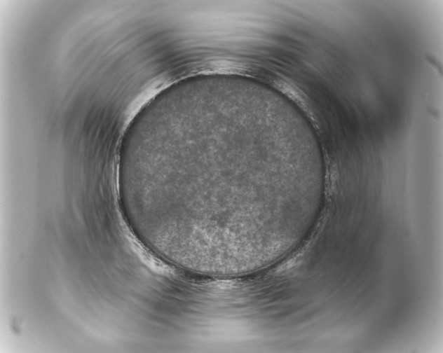 X0000101431130200807280955