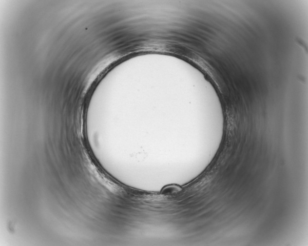 X0000101431131200807280955