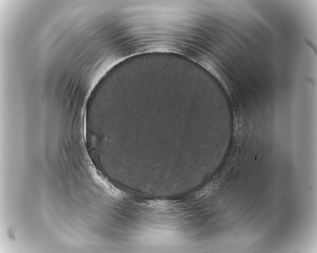 X0000101431132200807280955