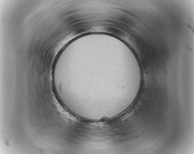 X0000101431133200807280955