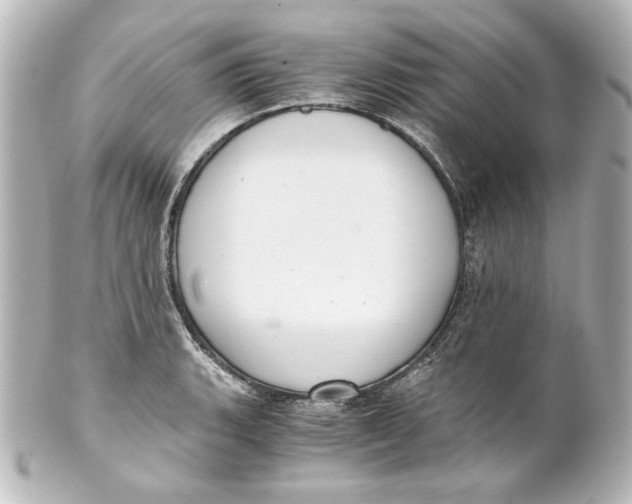 X0000101431135200807280955