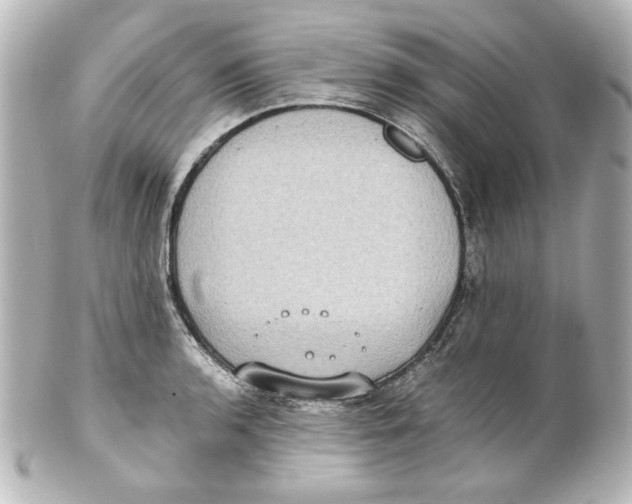 X0000101431136200807280955