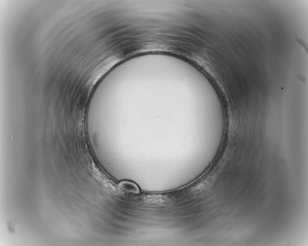 X0000101431137200807280955