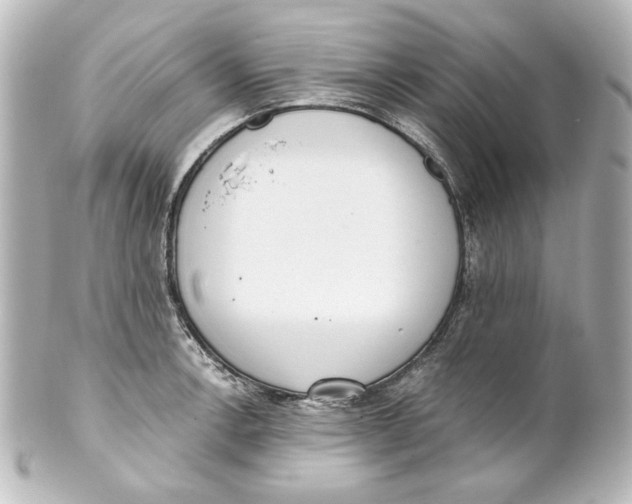 X0000101431138200807280955