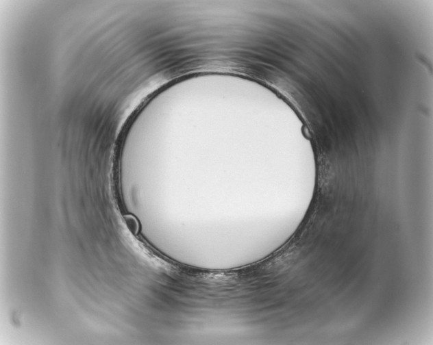 X0000101431139200807280955