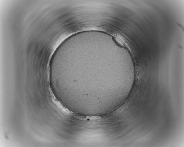 X0000101431140200807280955