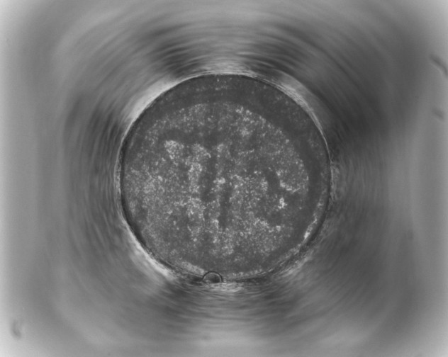 X0000101431141200807280955