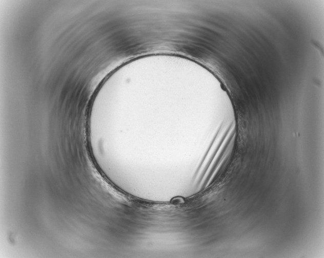 X0000101431142200807280955