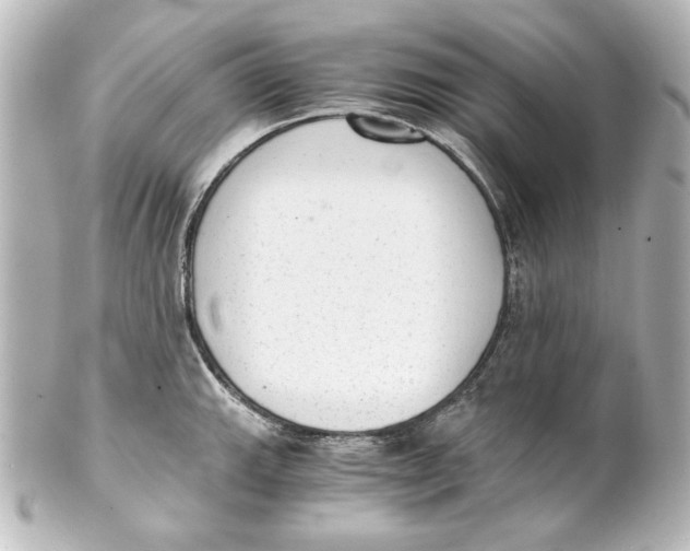 X0000101431143200807280955