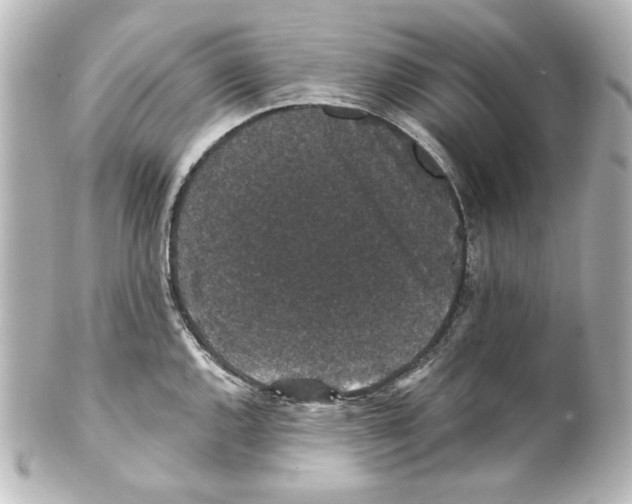 X0000101431144200807280955