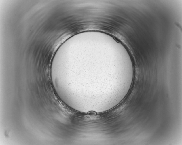 X0000101431145200807280955