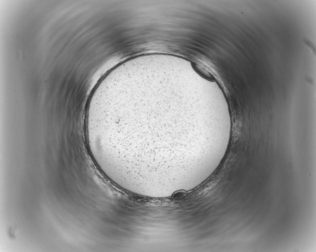 X0000101431146200807280955