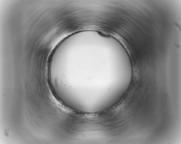 X0000101431147200807280955