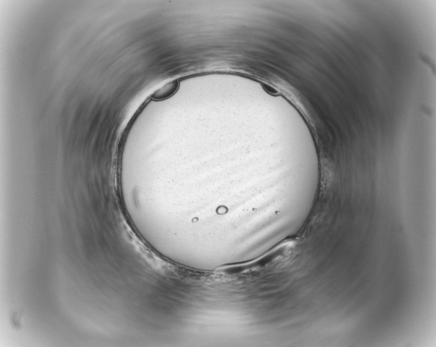 X0000101431148200807280955