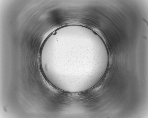 X0000101431149200807280955