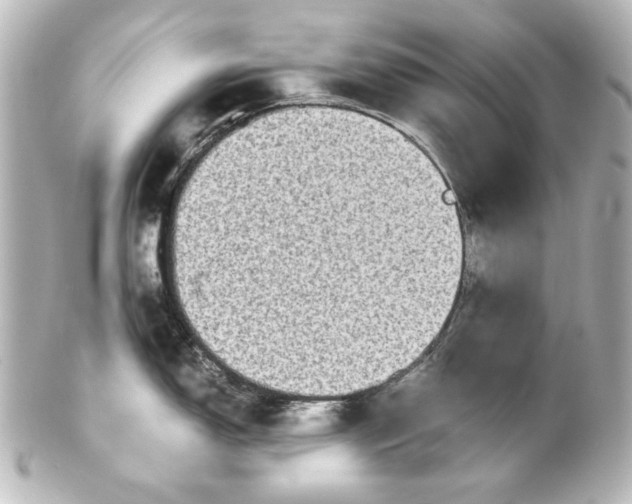 X0000101431150200807280955