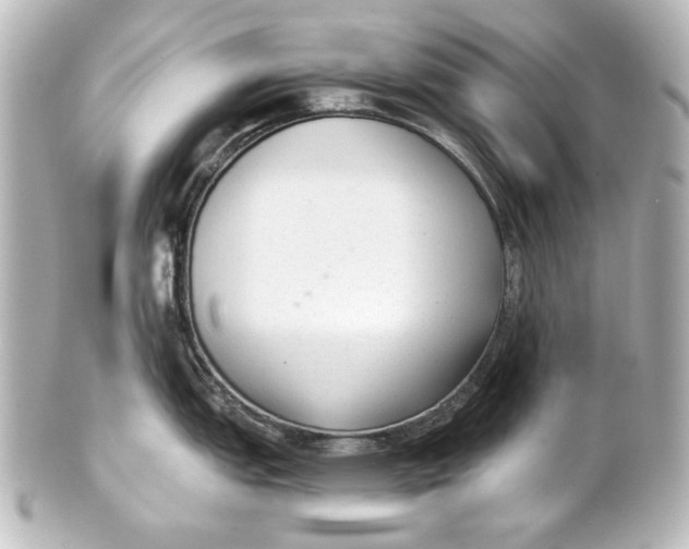 X0000101431151200807280955