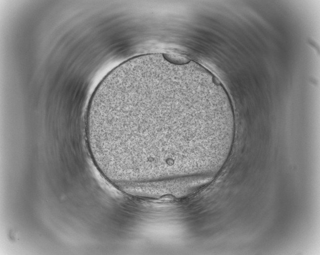 X0000101431152200807280955