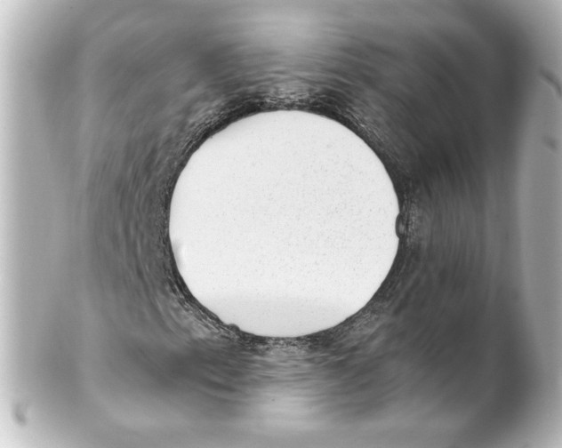 X0000101431153200807280954