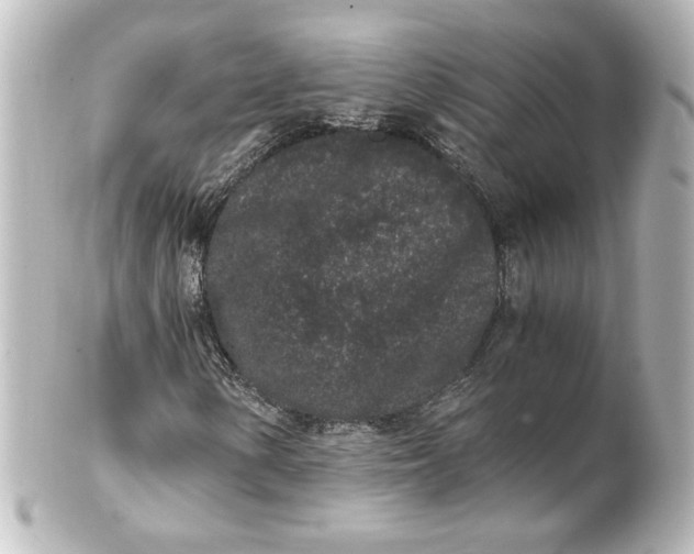 X0000101431154200807280954