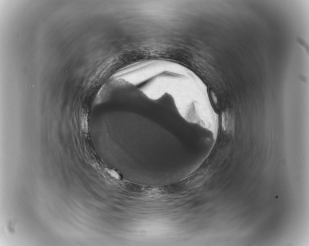 X0000101431155200807280954