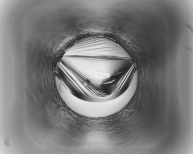 X0000101431157200807280954