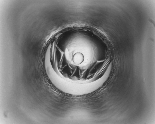 X0000101431160200807280954