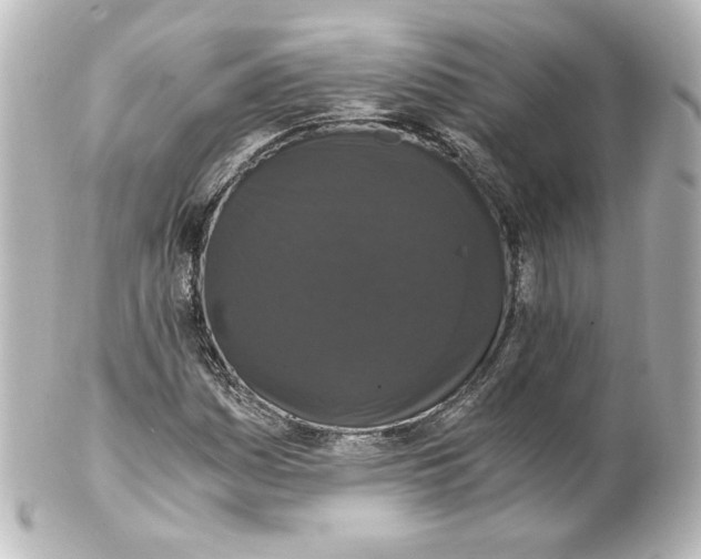 X0000101431161200807280954