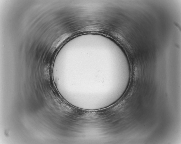 X0000101431162200807280954