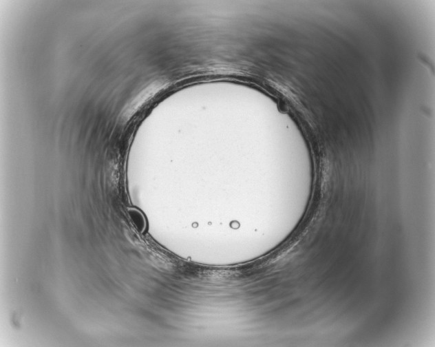 X0000101431163200807280954