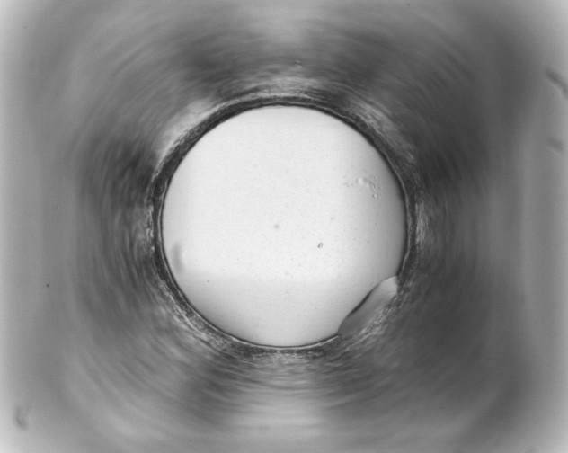 X0000101431164200807280954