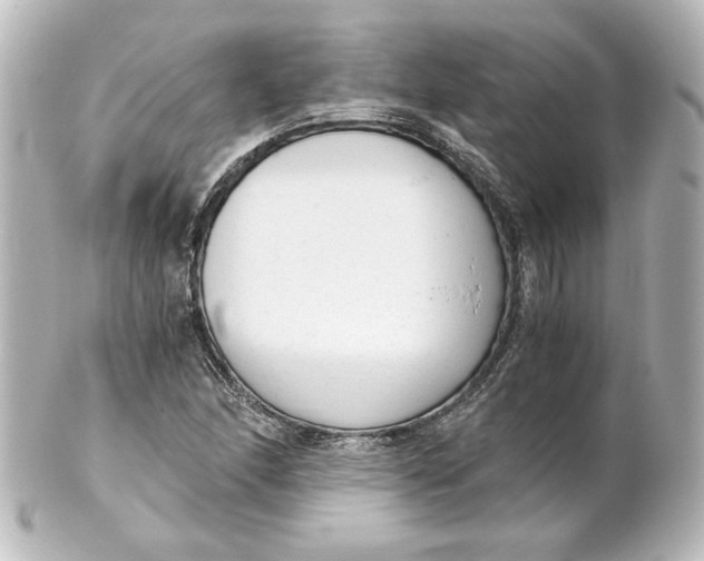 X0000101431166200807280954