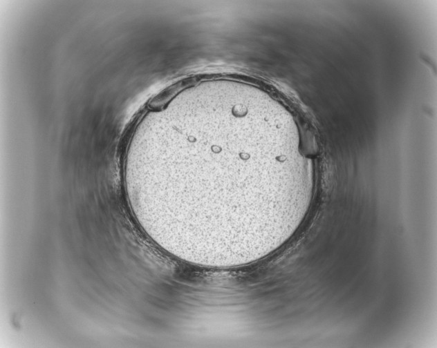 X0000101431167200807280954