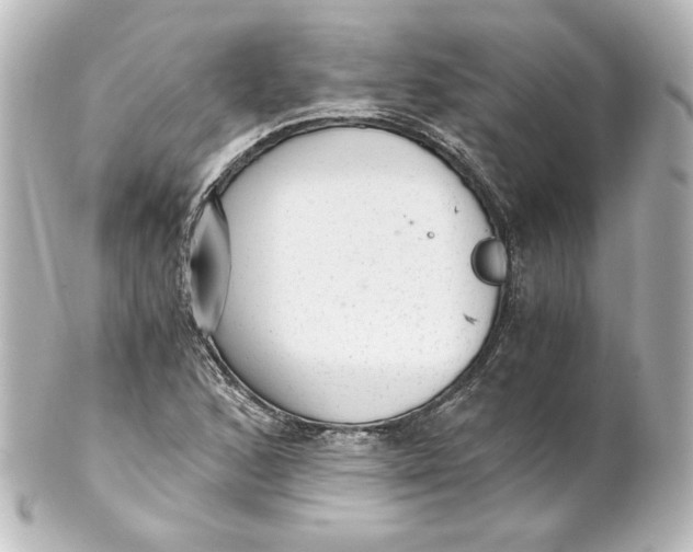 X0000101431168200807280954