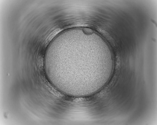 X0000101431169200807280954