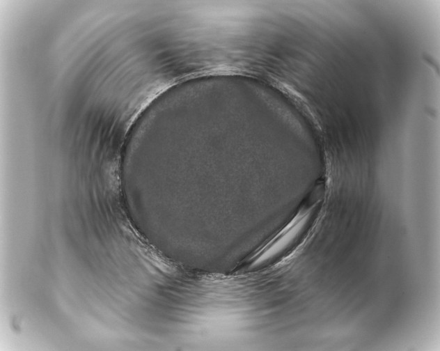 X0000101431170200807280954