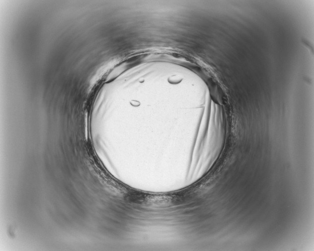 X0000101431171200807280954