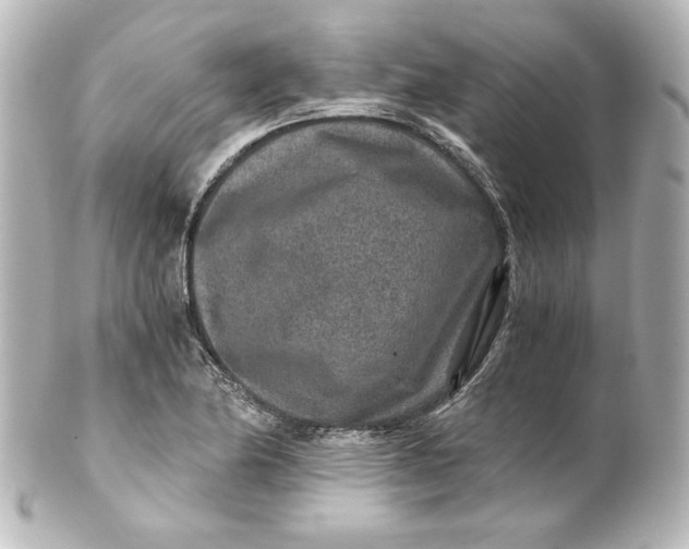 X0000101431174200807280954