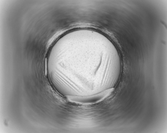 X0000101431175200807280954