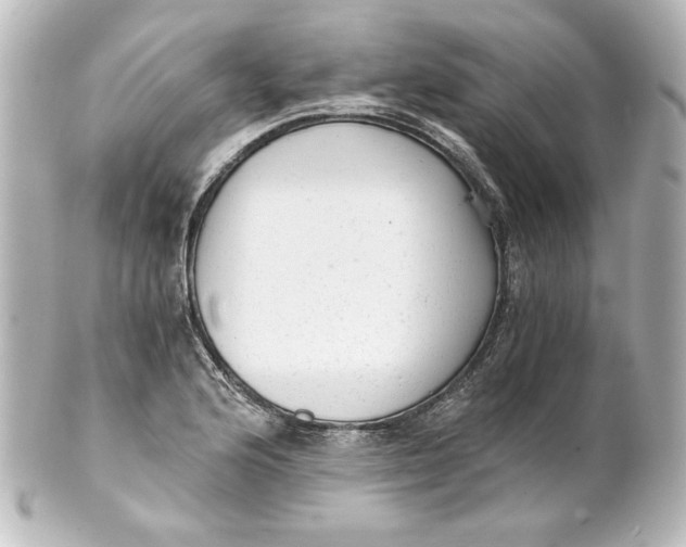 X0000101431176200807280954