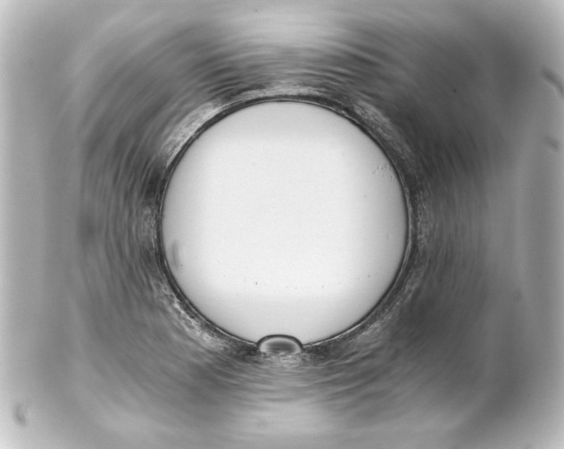 X0000101431177200807280954