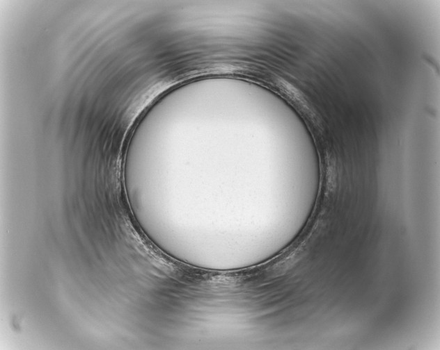 X0000101431178200807280954