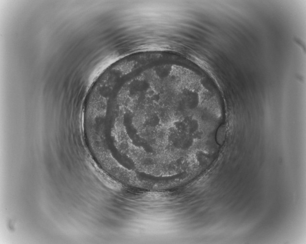 X0000101431179200807280954